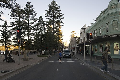 An asphalt street along the ocean beach, Norfolk Island pines on one side and two storey heritage shopfronts on the other.