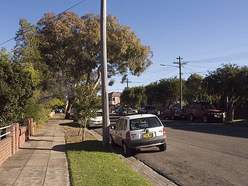 A suburban residential street off Illawarra Road, detached houses behind brick garden walls, parked cars and mature gum trees.