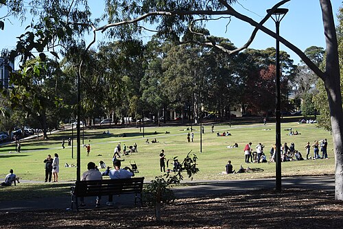 Camperdown Memorial Rest Park, the former cemetery's grounds now open lawn under mature fig and eucalypt trees.