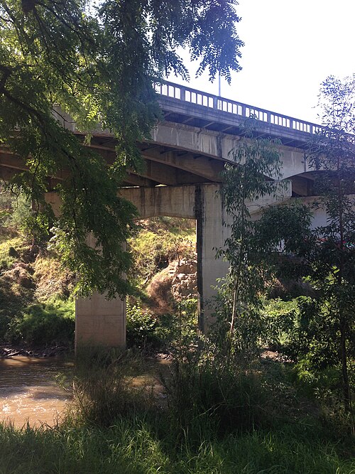 The concrete Johnston Street bridge crossing the Yarra on tall piers, the riverbank thick with gum trees below.
