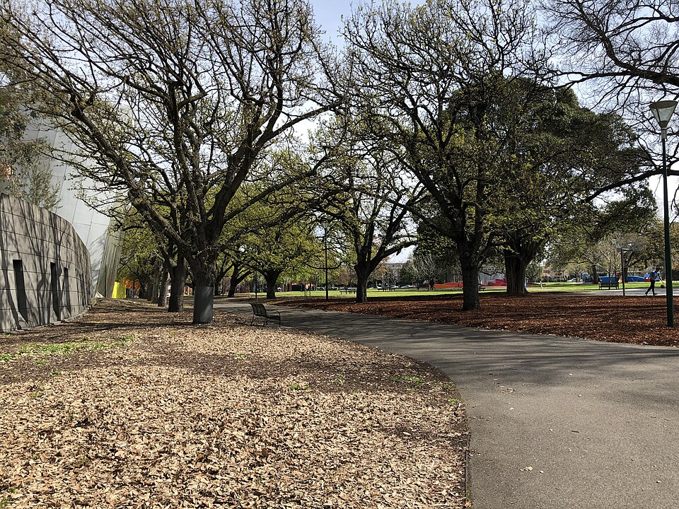 A curved asphalt path through Carlton Gardens, lawns and mature deciduous trees on both sides, the Melbourne Museum's wall visible behind the trees.