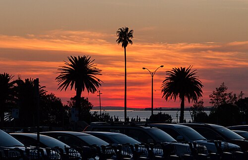 Palm trees and street lamps silhouetted against an orange sunset over the bay, cars parked along the foreshore.