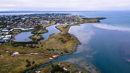 An aerial view of the Williamstown peninsula, its coastline and wetlands reaching into the bay.
