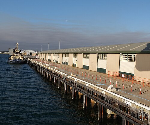 D Shed on Victoria Quay in low sun, a long timber wharf with mooring bollards and traffic cones along it and a tug tied up at the far end.