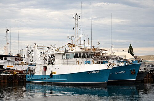 Two fishing boats, Advancer and Ca-Den III, moored side by side against a timber wharf hung with tyres in the Fishing Boat Harbour.