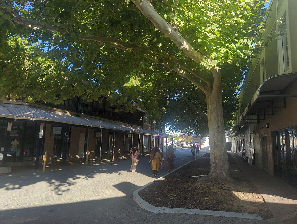 Paddy Troy Mall, a short pedestrian lane in the town centre, with shops under a two storey verandah on one side and a plane tree standing in the paving.
