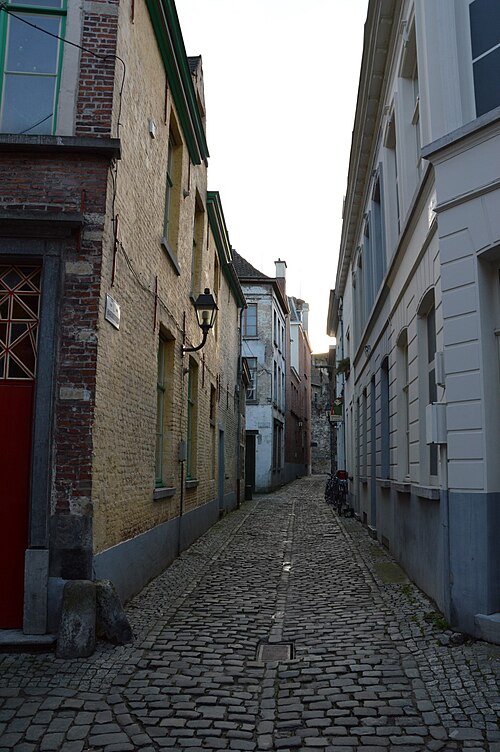 The Haringsteeg, a narrow cobbled lane with a yellow brick side wall on the left and a red door at the near corner.