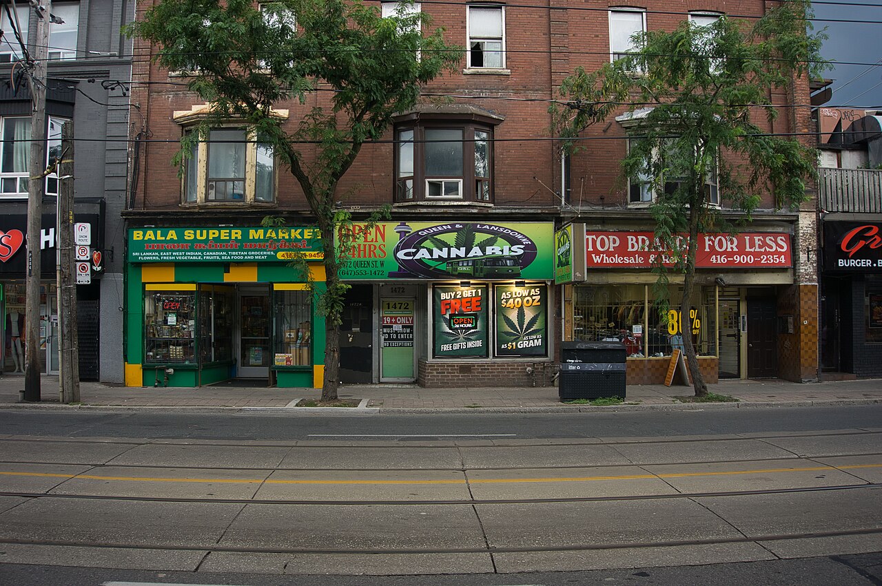 Three storefronts on Queen Street West at Lansdowne Avenue, a South Asian grocery in green and yellow, a cannabis shop with deals lit up in the window, and a discount clothing store, trees growing at the curb.