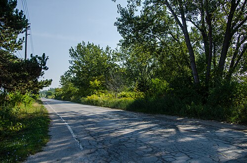 A quieter stretch of Unwin Avenue farther along, cracked asphalt bordered by overgrown trees and brush rather than industrial buildings.