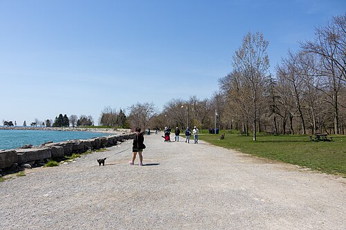 A gravel path along a stone breakwater at Bluffer's Park, people walking dogs and pushing a stroller with the marina and treeline beyond.