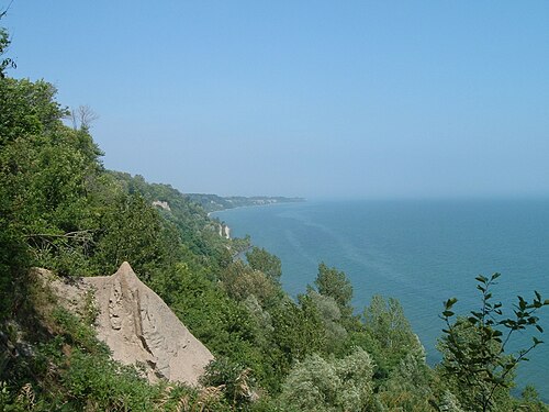 A wedge of bare pale clay in the foreground, with the tree covered cliff line curving away into haze along the lake.