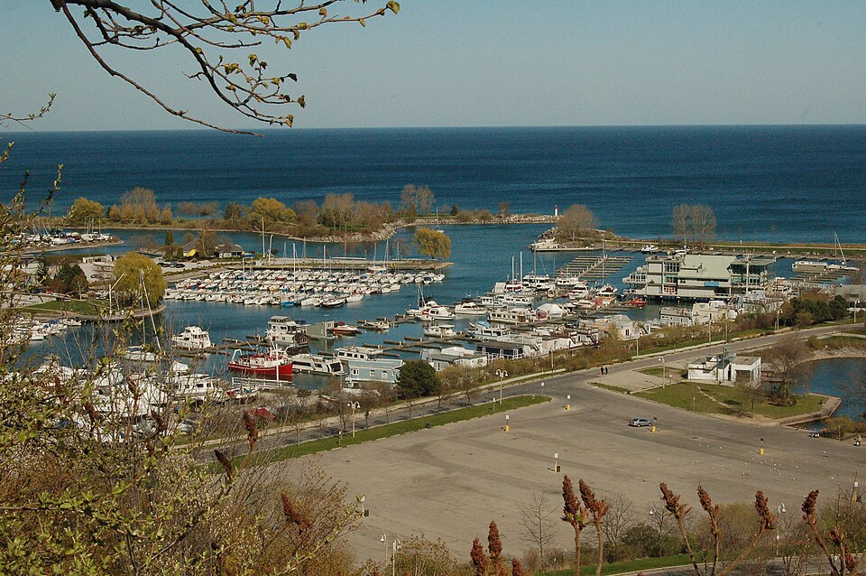 Looking down from the top of the bluffs through tree branches onto the boat basin at Bluffer's Park, docks and moored boats below and open water beyond.