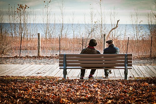 Two people sitting on a boardwalk bench with their backs to the camera, looking out past dune grass to Lake Ontario.
