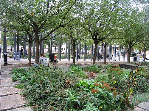 One of the garden plots in Village of Yorkville Park, young trees planted in rows with people sitting among the beds.