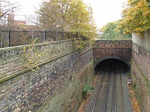The railway cutting at the tunnel mouth, two tracks running into the brick arch, sandstone retaining walls on both sides and trees turning yellow above the parapet.