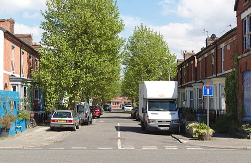 A tree lined terraced street, red brick houses with small painted fronts, parked cars and a delivery van at the kerb.