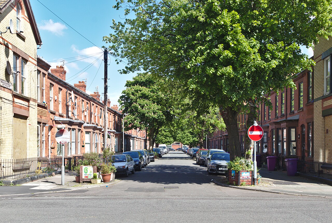 A terraced residential street of two storey red and yellow brick houses, mature trees meeting overhead and cars parked along both kerbs.