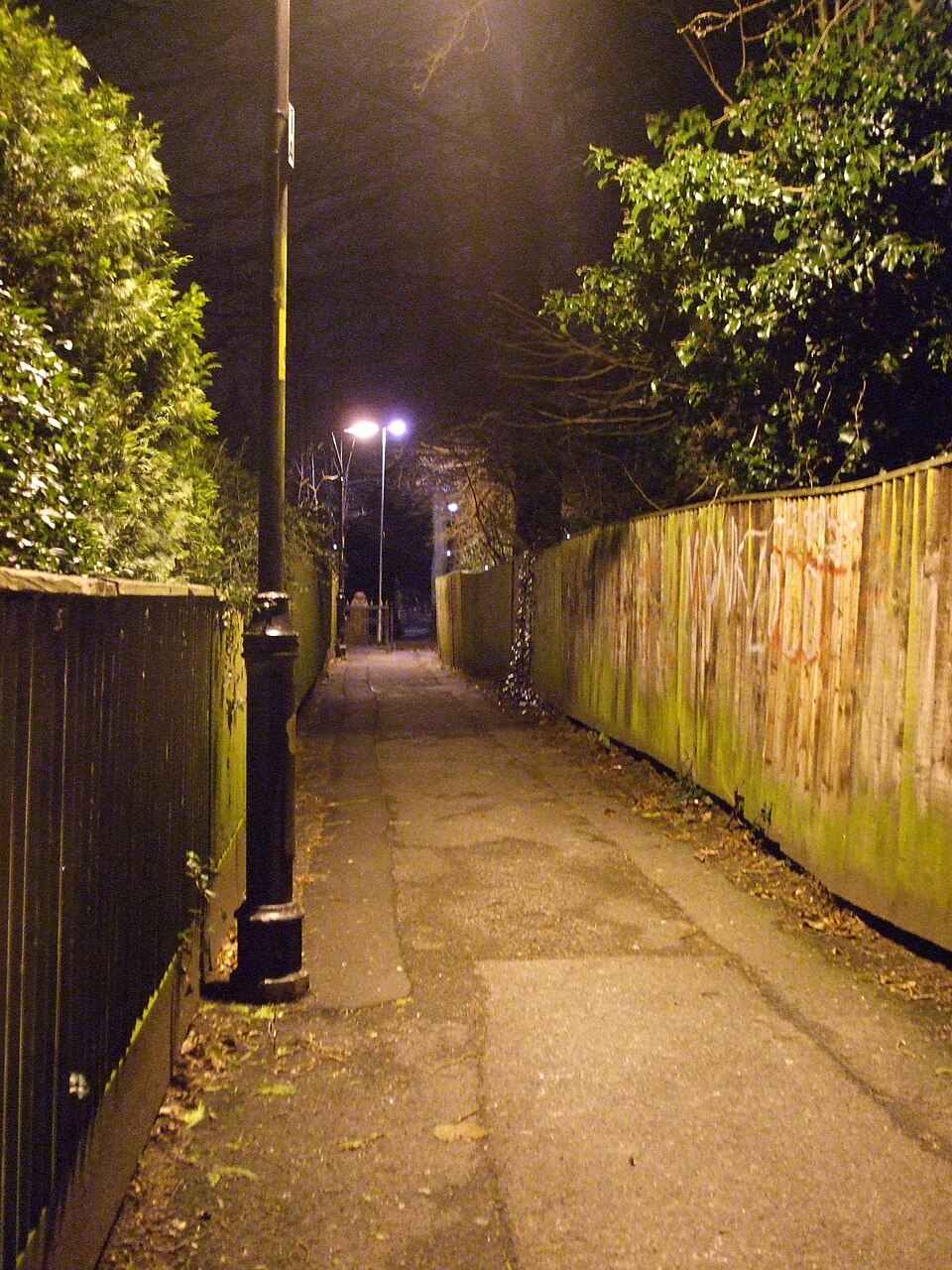 A narrow paved ginnel between tall fenced gardens within the Chorltonville estate, lit by a single street lamp at night. Not South Drive itself, which has no free photograph on Commons; this lane connects the estate to Hurstville Road.