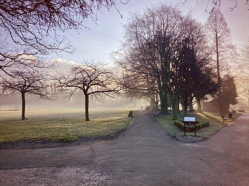 Didsbury Park on a frosty morning, bare trees either side of a tarmac path with benches and a noticeboard.