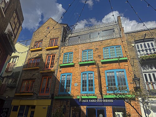 Brick fronts in Neal's Yard with the window frames painted orange and blue, green flower boxes on the sills and festoon lights strung across the yard.