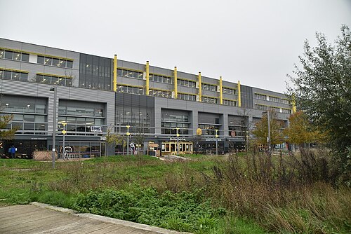 The former Olympic broadcast centre, now Here East, a long grey clad building with yellow columns and small bars and cafes along the ground floor, seen across rough grass.