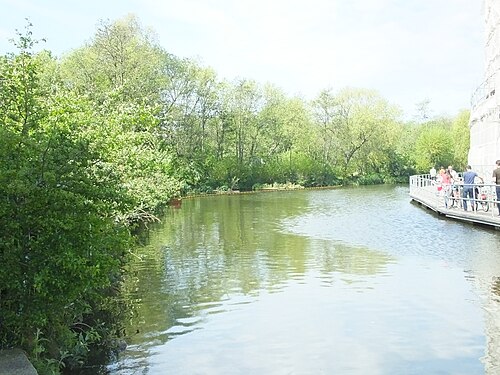 The canal beside Camley Street Natural Park, trees down to the water on one bank and a floating towpath with cyclists on the other.