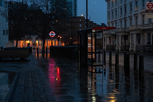 Pimlico Underground's lit roundel at dusk, wet pavement reflecting red and blue light beside a covered bus stop and white stucco terrace.