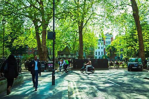Soho Square in May, the timber framed hut in the middle of the garden behind the plane trees and the railings, with a scooter passing on the road.