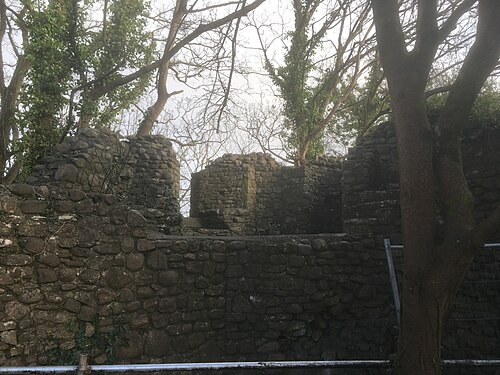 The roofless rubble walls of the Bishop's Palace, a round corner turret rising through ivy and bare branches.