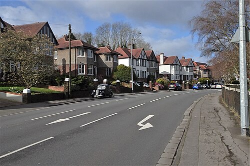 Cardiff Road's tudor style houses and hedged front gardens line a wide carriageway, cars parked along the kerb.