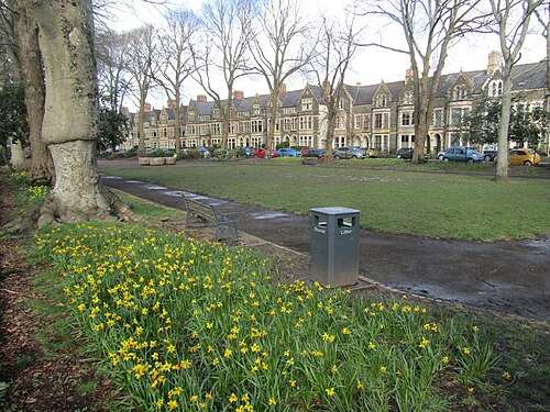 Plasturton Gardens in late winter, daffodils and a park bench in the foreground, the crescent of gabled terraces behind the railed lawn.