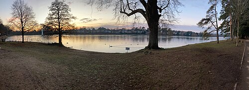 A wide view across the lake at dusk, bare trees in the foreground, swans on the water and houses along the far shore.