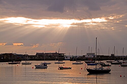 The harbour basin full of sailboat and motorboat moorings under a low evening sky.
