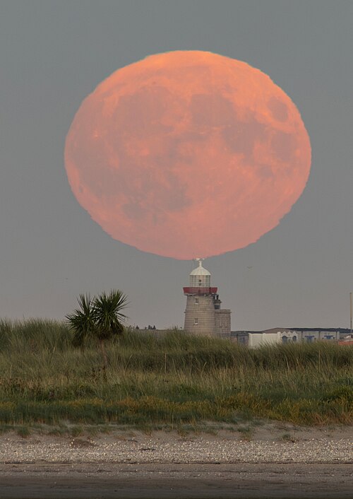 A night view of the granite tower of the Baily Lighthouse on the grass headland, under a full moon.