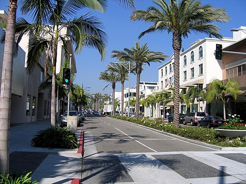 Rodeo Drive looking north, palm trees lining both sidewalks, low white buildings and a nearly empty street.