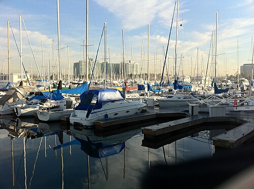 A row of white high rise condominium towers behind a dense line of moored sailboats, masts crossing in front of the buildings.