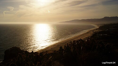 The coast at sunset from the bluff, the beach curving into the distance with hills beyond and cactus silhouettes in the foreground.