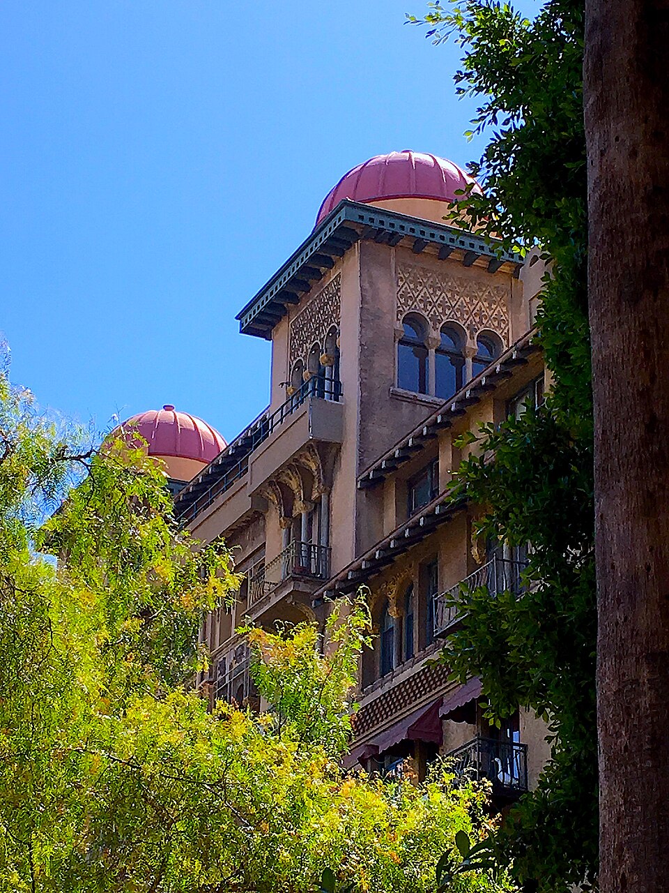 Castle Green's domed turrets seen through the branches of the palm trees planted in front of the building.