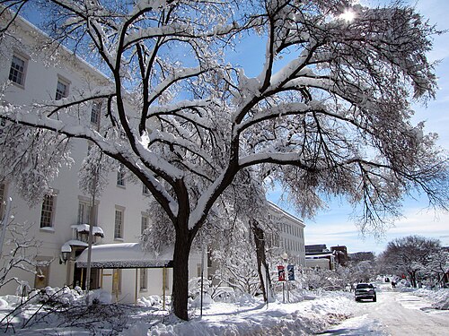 1st and C Street SE under snow, bare trees along the sidewalk in front of a white painted corner building.