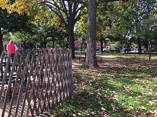 Stanton Park in autumn, a low wood fence around newly seeded turf and mature trees dropping leaves across the lawn.