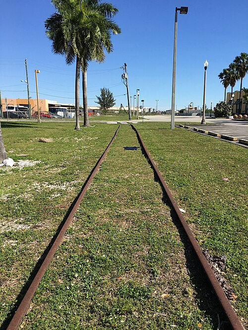 A disused rail spur's rusted rails running through grass between two royal palms, with a parking lot and low buildings beyond.