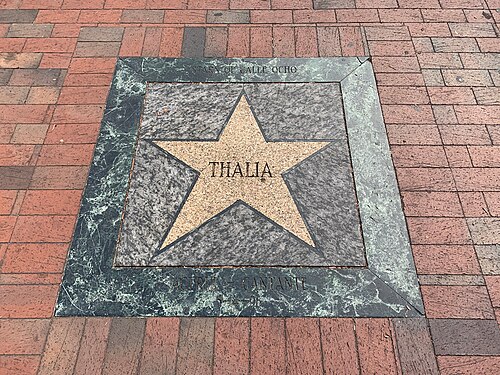 A terrazzo star set into the brick sidewalk, reading Stars of Calle Ocho around the name Thalia.