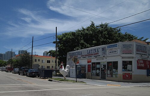 A corner grocery and meat market, Carniceria Latina, hand lettered signs in Spanish across the storefront and downtown Miami's towers visible behind it.