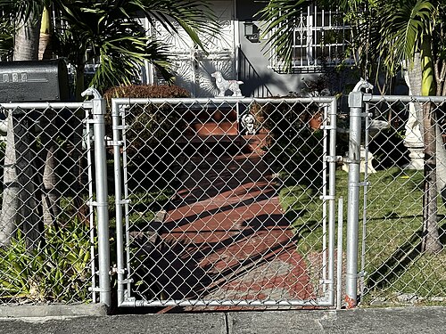 A chain link gate with horse head shaped metal finials on the posts, a brick walkway leading past a dog statue to a house behind palms.