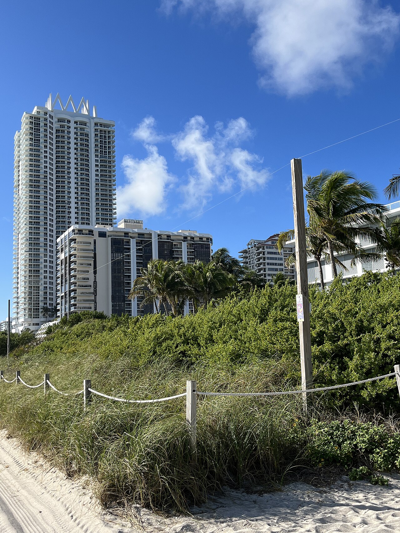 A row of highrise hotel towers seen from the dune line, sea grape hedges and a rope fenced beach path in the foreground.