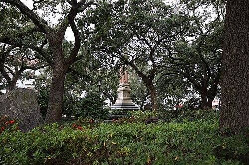 Wright Square's granite monument seen through a thick stand of live oak trunks and branches, with azaleas and a large boulder marker in the foreground.