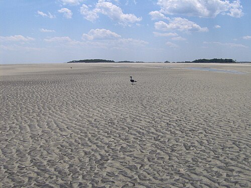 A flat expanse of rippled sand at low tide, with Little Tybee Island a low green line on the horizon.