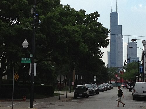 A tree lined side street with parked cars, the Willis Tower rising above the trees to the north.