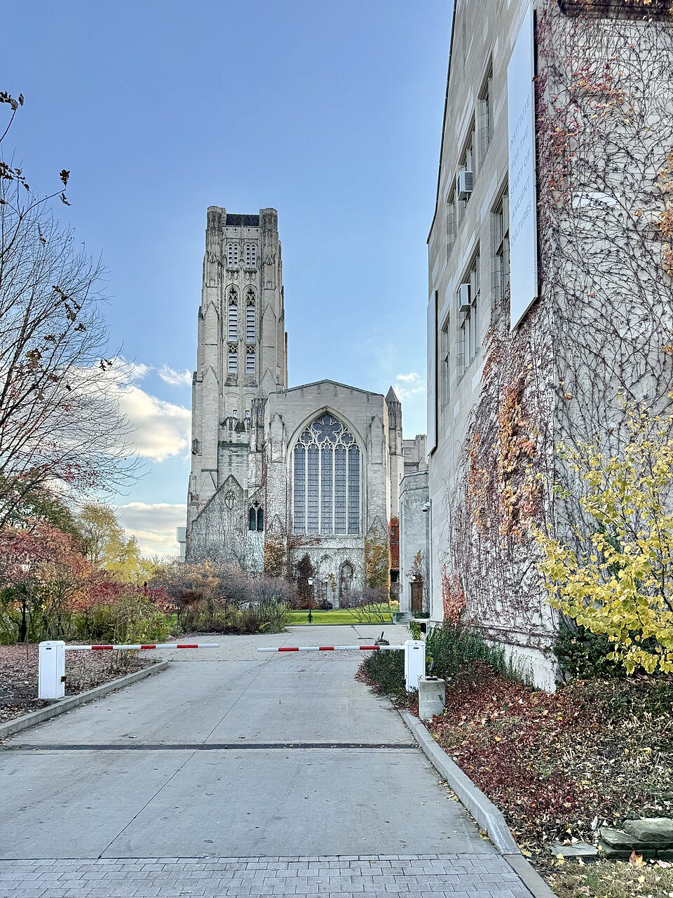 Rockefeller Chapel's tower and nave seen up a driveway, autumn trees and a vine covered wall in the foreground.