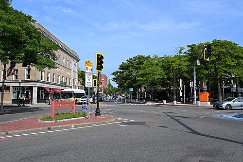 Holland Street leading north out of the square, a red Davis Square sign on a brick paved island, a bus and traffic signals under street trees.